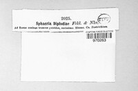 Image Associated With the Occurence